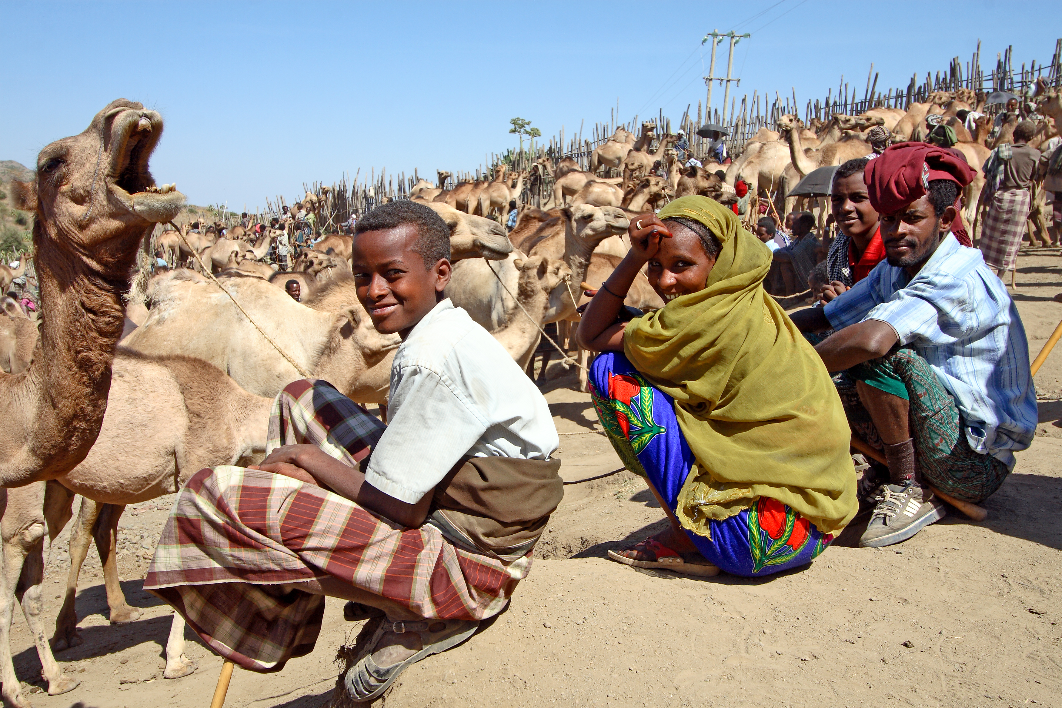 Эфиопия население