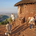 Жилище эфиопов