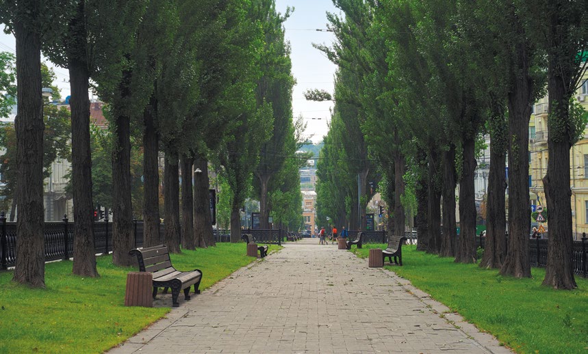 The Poplars in Kyiv